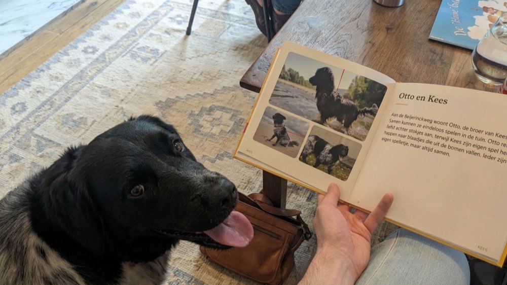 Otto schaut vom aufgeschlagenen gedruckten Buch über Kees auf, auf der Seite über Otto und Kees.